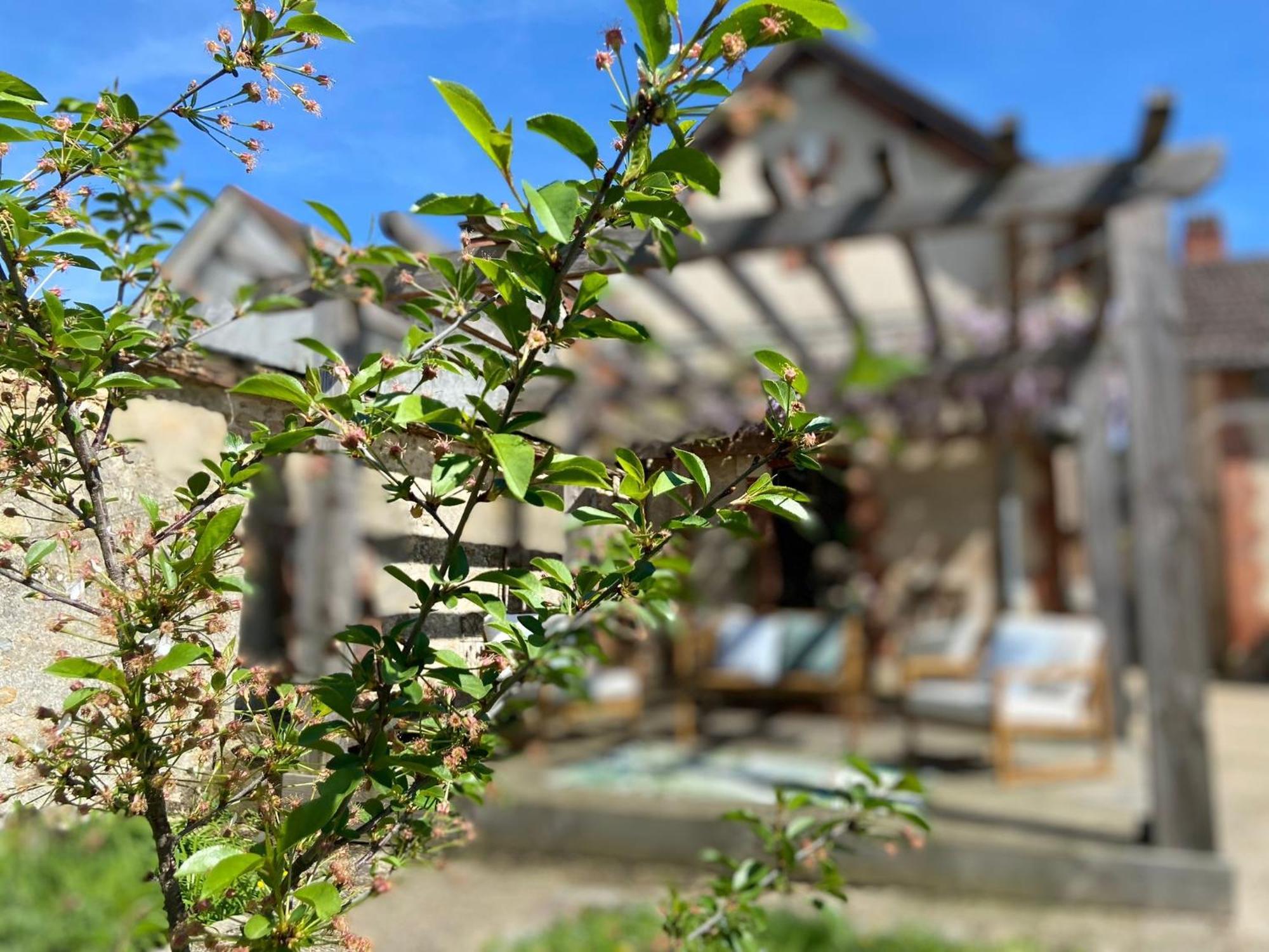 Pool House-L'Hirondelle De Sermizelles- Grand Jardin, Calme Et Nature Aux Portes Du Morvan Ngoại thất bức ảnh